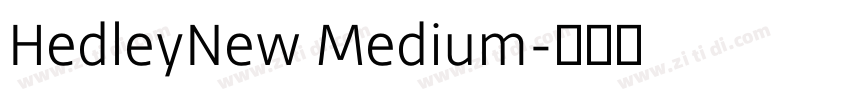 HedleyNew Medium字体转换
